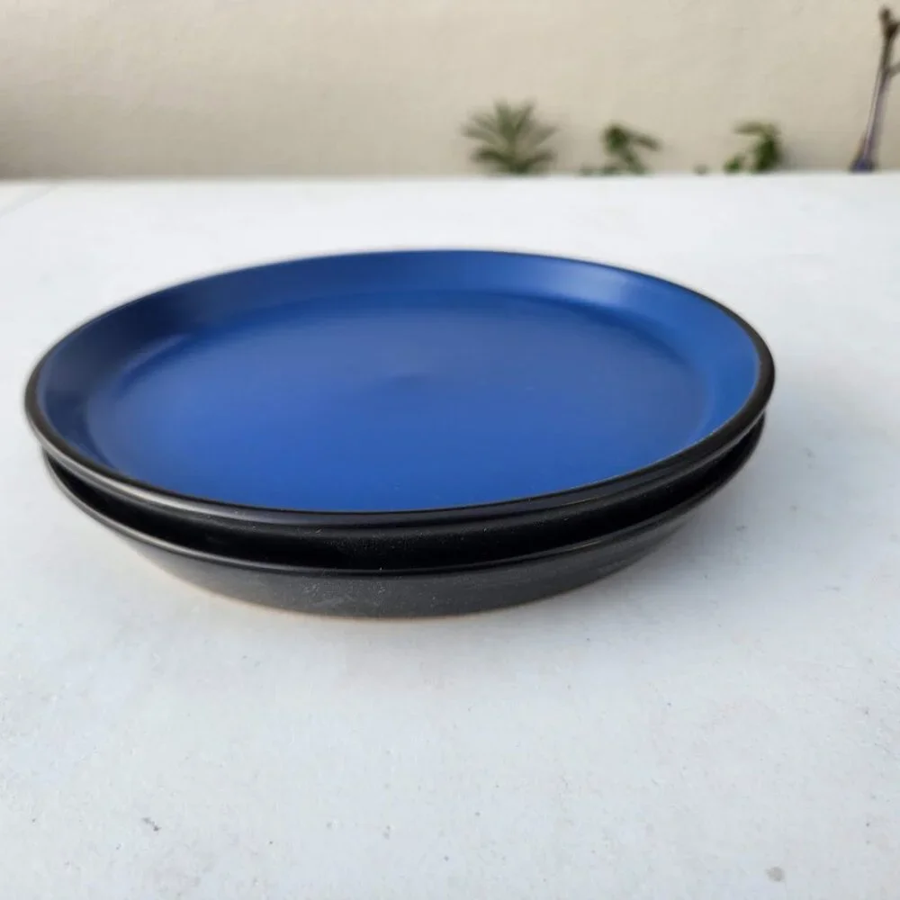 NEW Set of 2 Stone Lain Stoneware Plates 7.5